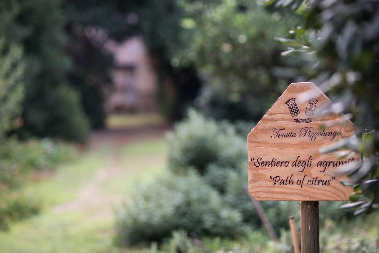 Azienda Agrituristica Tenuta Pizzolungo 에리체 외부 사진